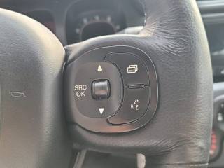 FIAT Panda usata 12