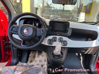 FIAT Panda Cross usata, con Controllo trazione
