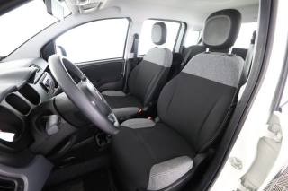FIAT Panda usata 2