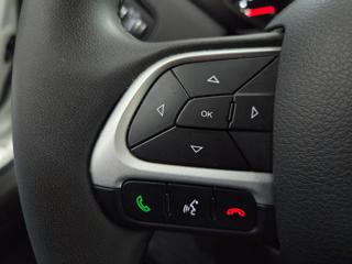 JEEP Renegade usata, con Cruise Control