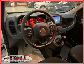 FIAT Panda Cross usata, con Antifurto