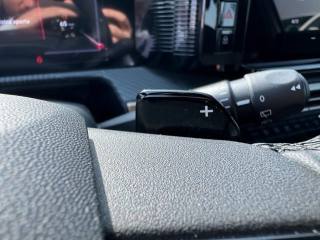 LANCIA Ypsilon usata, con Cruise Control