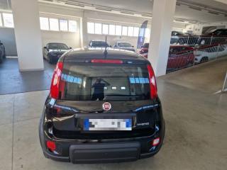 FIAT Panda usata, con Chiusura centralizzata