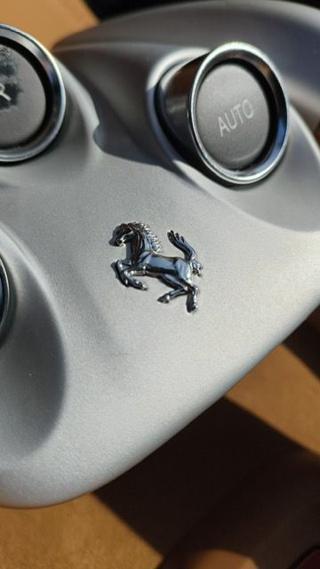 FERRARI FF usata, con Specchietti laterali elettrici
