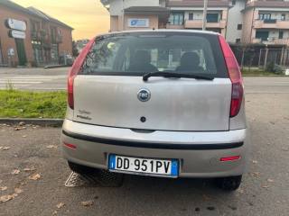 FIAT Punto usata, con Airbag Passeggero