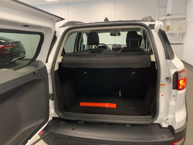 FORD EcoSport usata, con Fendinebbia