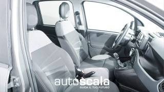 FIAT Panda usata, con Controllo trazione