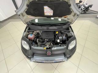 FIAT Panda Cross usata, con Climatizzatore automatico, 2 zone