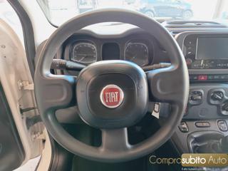 FIAT Panda usata, con Immobilizzatore elettronico