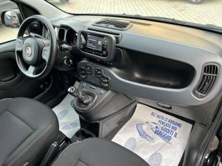 FIAT Panda usata, con Hill holder