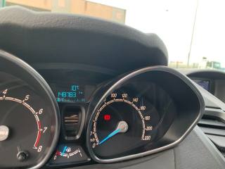 FORD Fiesta usata, con Fendinebbia