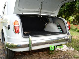 FIAT 1100 usata 37