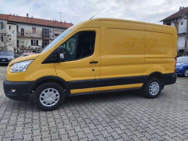 FORD Transit usata, con Fendinebbia