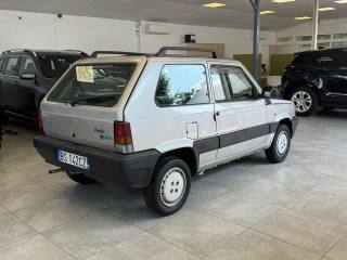 FIAT Panda usata, con Chiusura centralizzata telecomandata