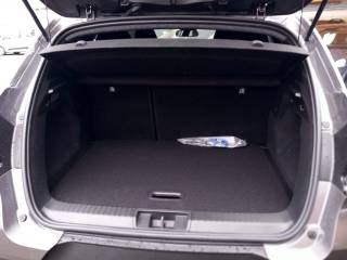 RENAULT Captur usata, con Servosterzo