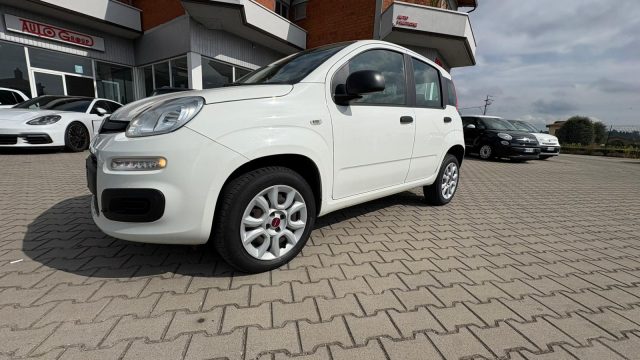 FIAT Panda usata 15