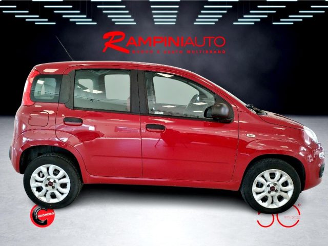 FIAT Panda usata 5