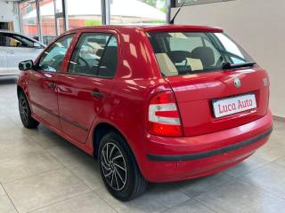 SKODA Fabia usata, con Specchietti laterali elettrici