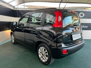 FIAT Panda usata, con Airbag Passeggero