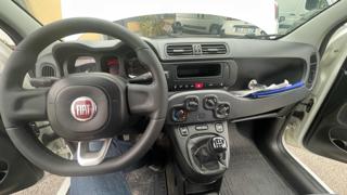 FIAT Panda usata, con Alzacristalli elettrici