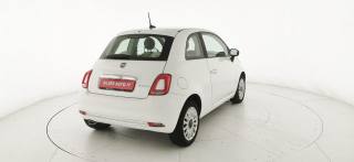 FIAT 500 usata 33