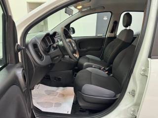 FIAT Panda usata, con Cronologia tagliandi