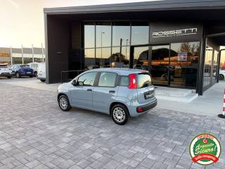 FIAT Panda usata, con Cronologia tagliandi