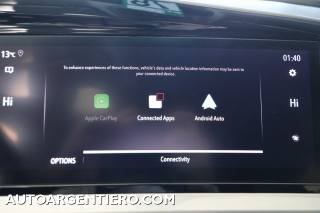 OPEL Grandland usata, con Chiusura centralizzata senza chiave