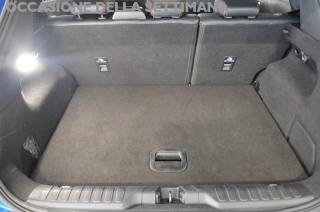 FORD Puma usata, con Cerchi in lega