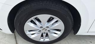 SKODA Octavia usata, con ESP