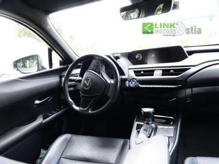 LEXUS UX Full Electric usata 40