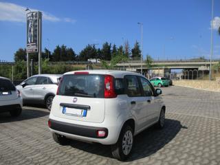 FIAT Panda usata, con Chiusura centralizzata