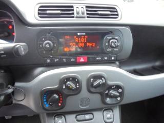 FIAT Panda usata 23