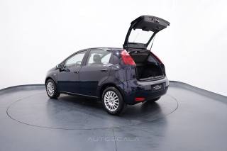 FIAT Punto usata 27