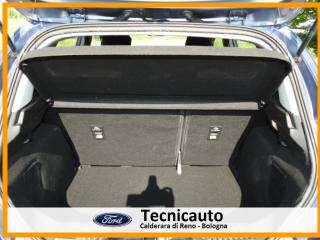 FORD Fiesta usata, con Fendinebbia