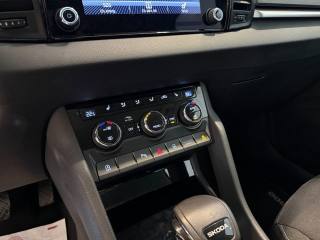 SKODA Karoq usata, con Cronologia tagliandi