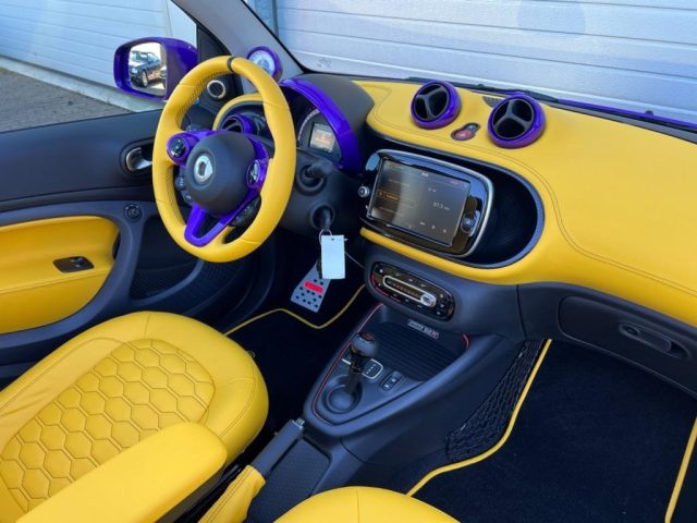 SMART ForTwo usata, con Sedili riscaldati