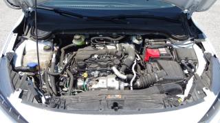 FORD Focus usata 134