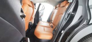 LEXUS UX 250h usata, con Supporto lombare