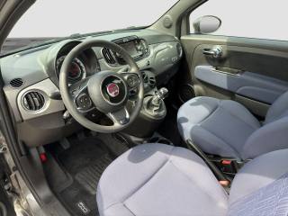 FIAT 500 usata 8