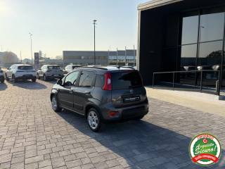 FIAT Panda usata, con Cronologia tagliandi