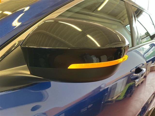 RENAULT Austral usata 24
