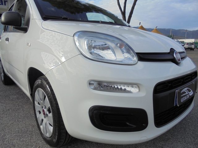 FIAT Panda usata 15