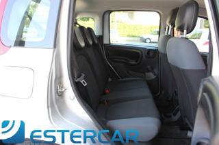 FIAT Panda usata 20