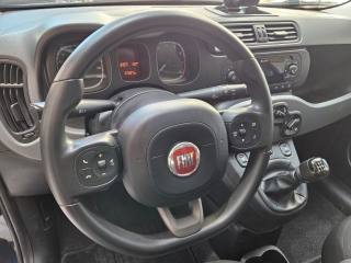 FIAT Panda usata, con ESP