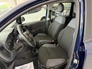 FIAT Panda usata, con Controllo trazione