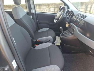 FIAT Panda usata, con Immobilizzatore elettronico