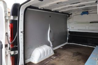 RENAULT Trafic usata 53