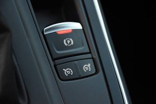 RENAULT Grand Scenic usata, con Specchietti laterali elettrici