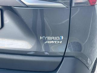 TOYOTA RAV 4 MY23 usata, con Controllo trazione